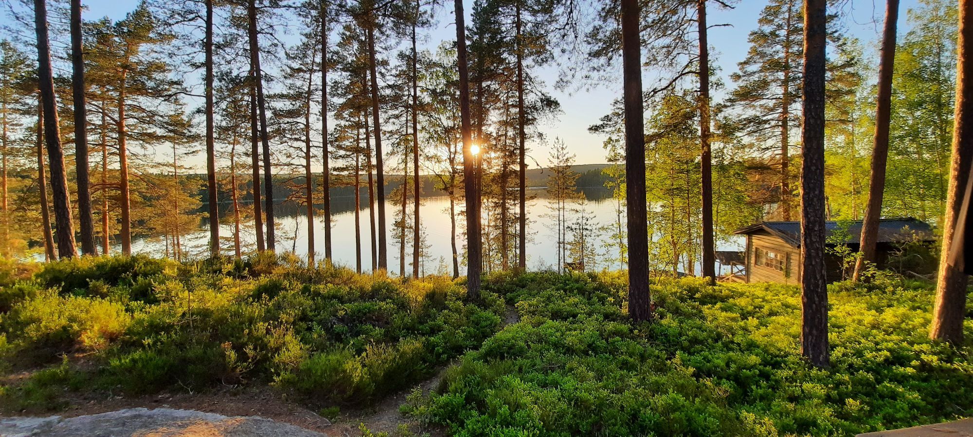 Mysig stuga vid GLASKOGEN