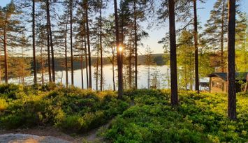 Mysig stuga vid GLASKOGEN