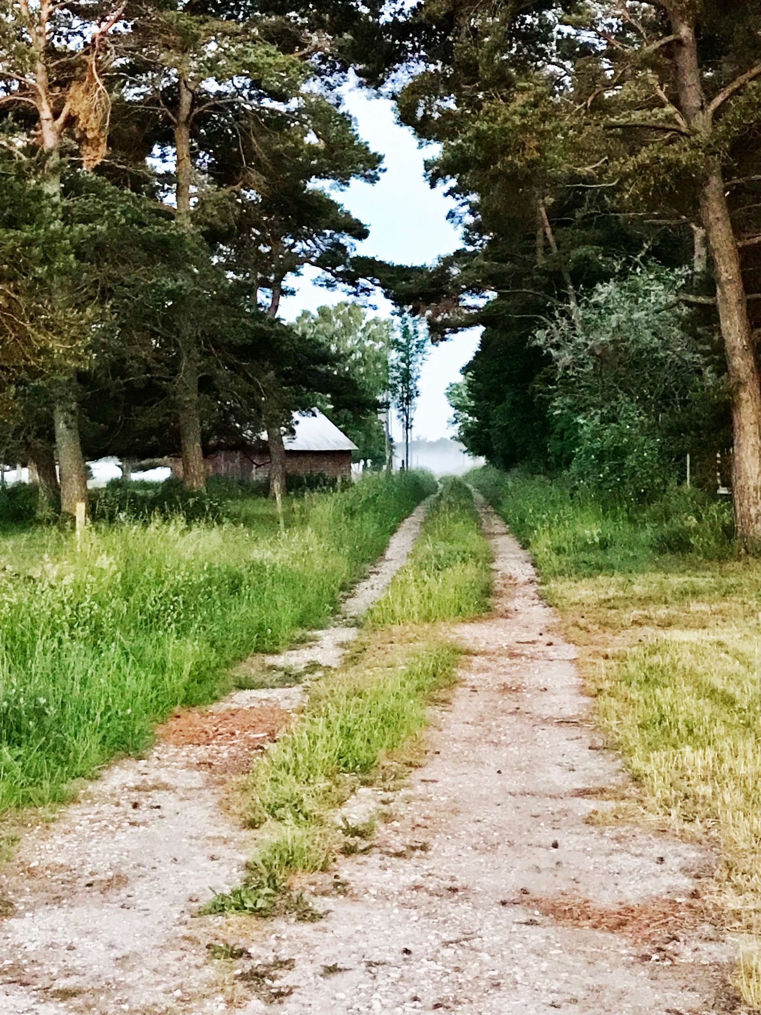Välkomna till Eksta i sommar – bild 12 av 13