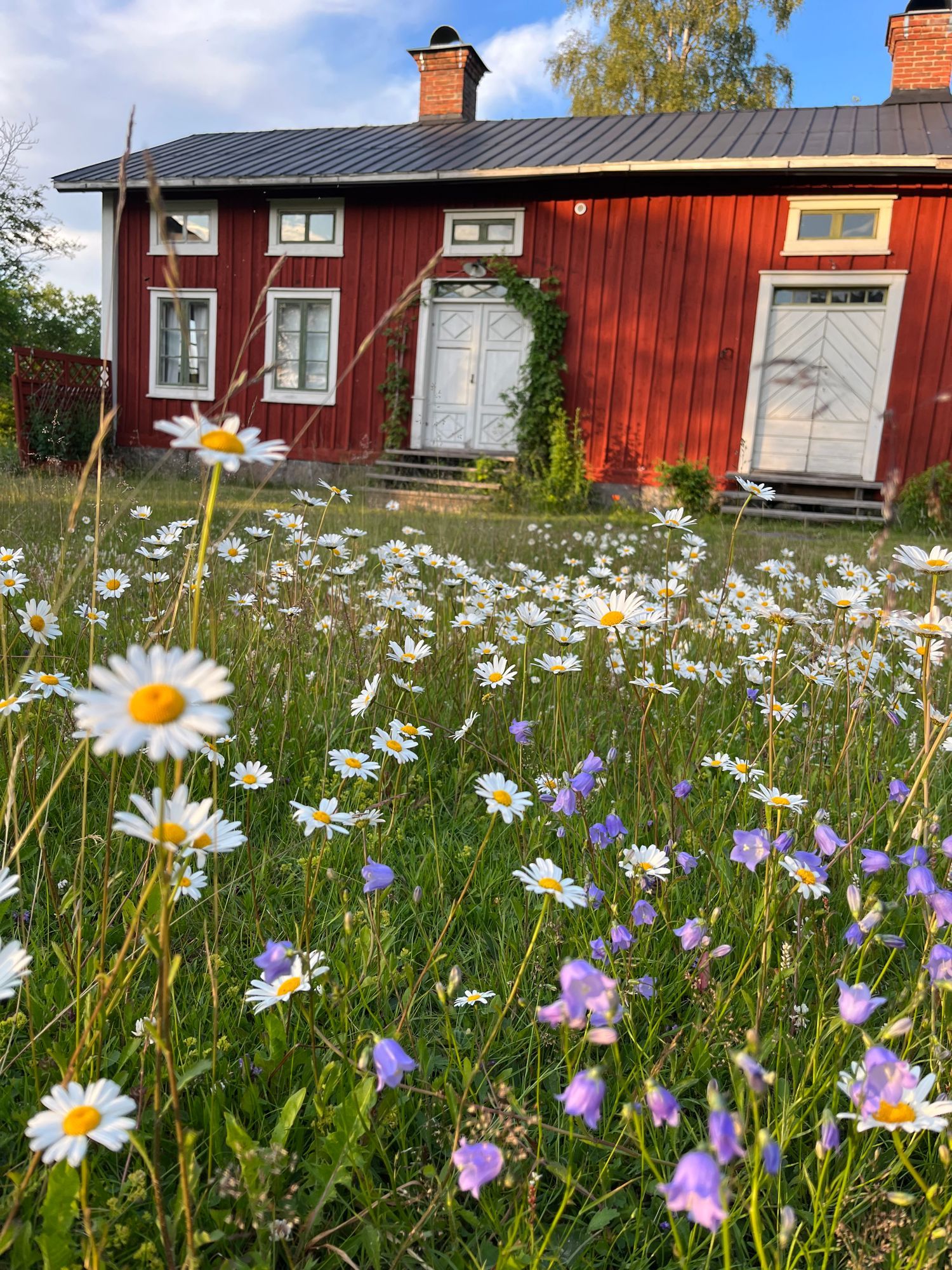 Stuga/övernattning/boende på lantgård – bild 3 av 13
