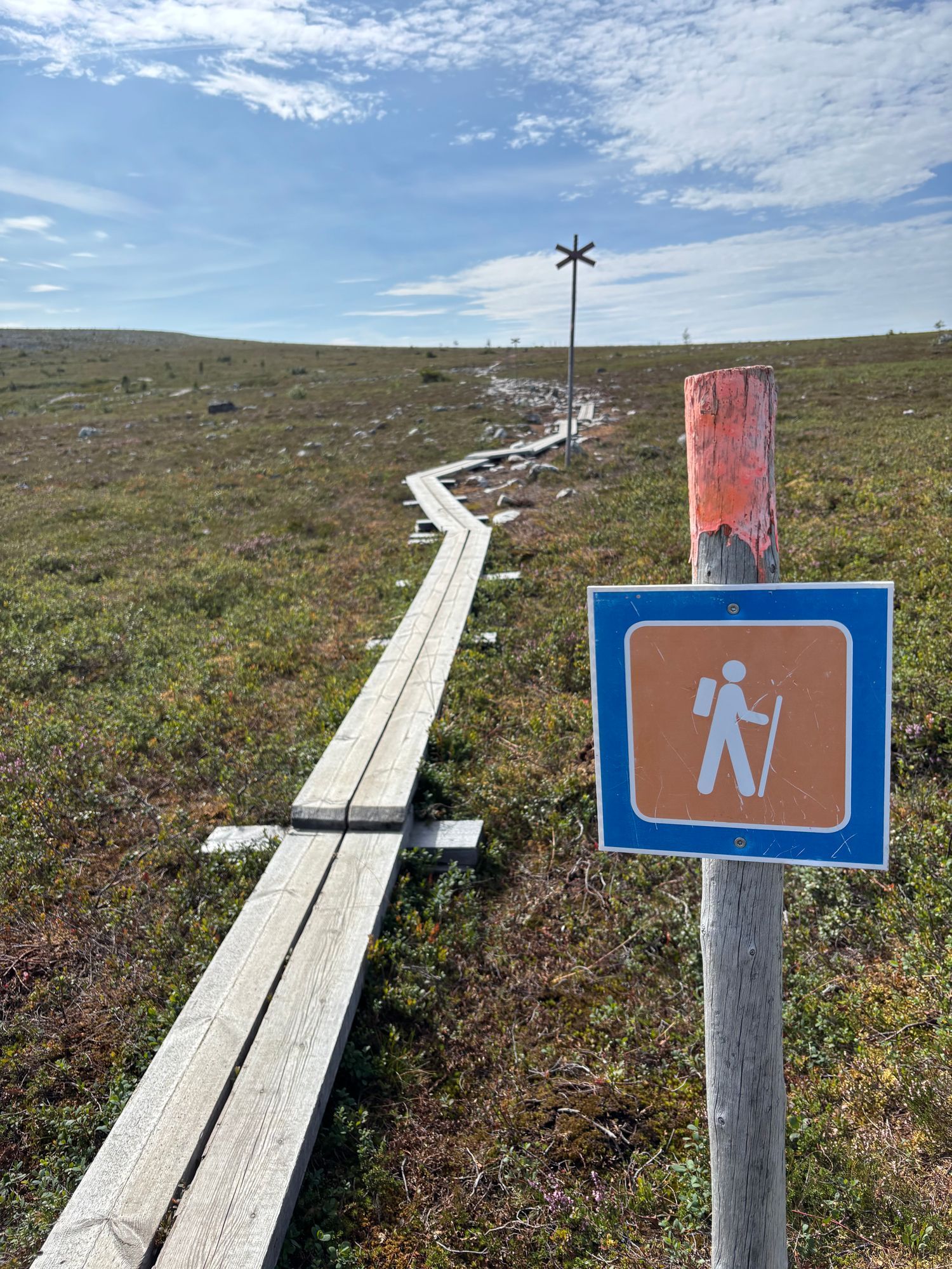 Boende i Björnrike med 3 sovrum – bild 18 av 23