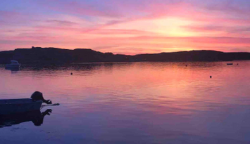 Egen oas på vackra Käringön