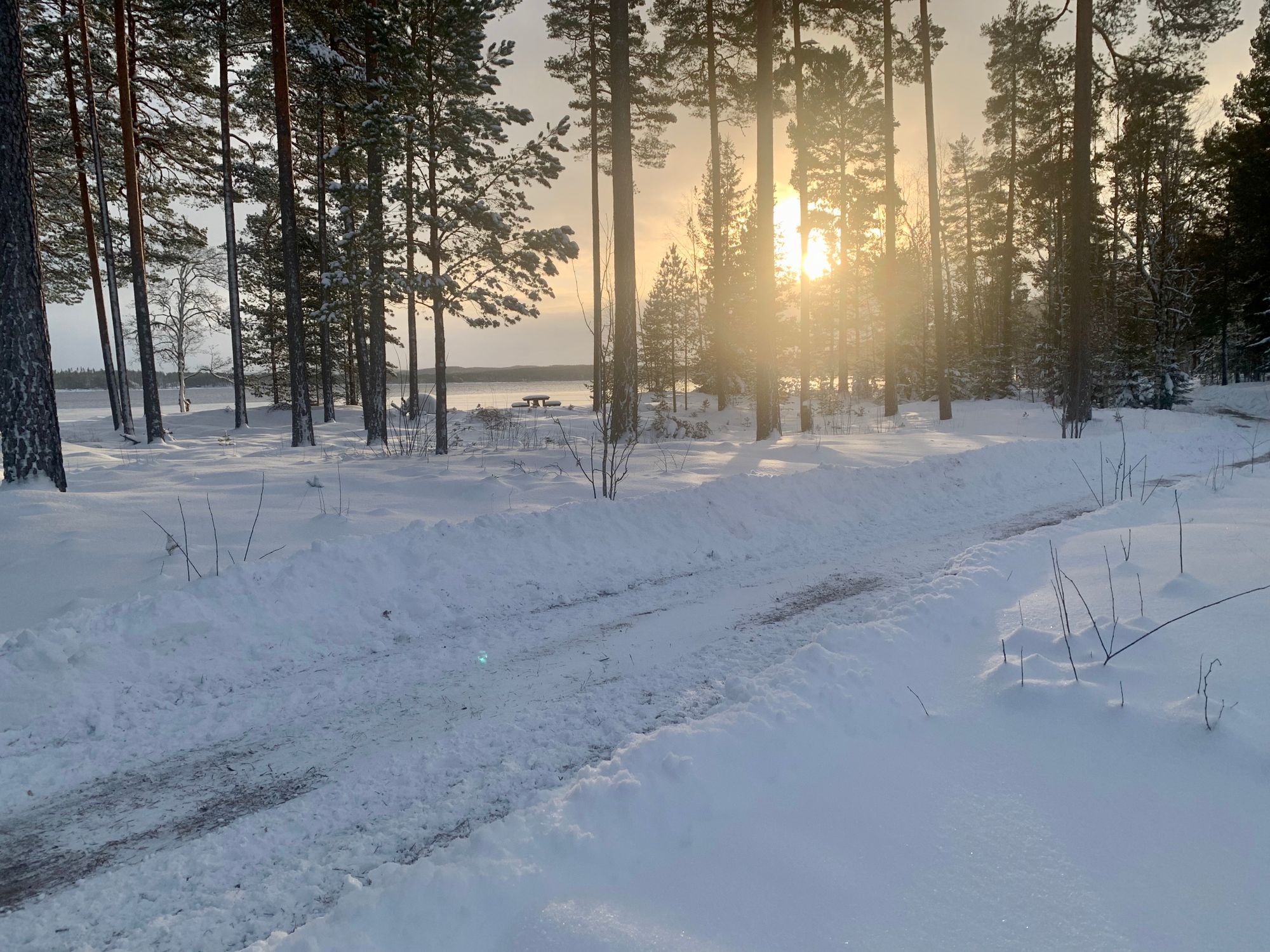 Modernt timmerhus vid sjö – bild 19 av 20