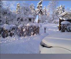 Mys i stuga  med fin natur vid sjö och skog