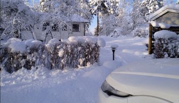 Mys i stuga  med fin natur vid sjö och skog