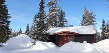 FANTASTISKT ALLA ÅRSTIDER-VINTER-VÅR-SOMMAR-HÖST!