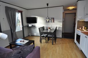 9 nice houses/apartments in Sälen