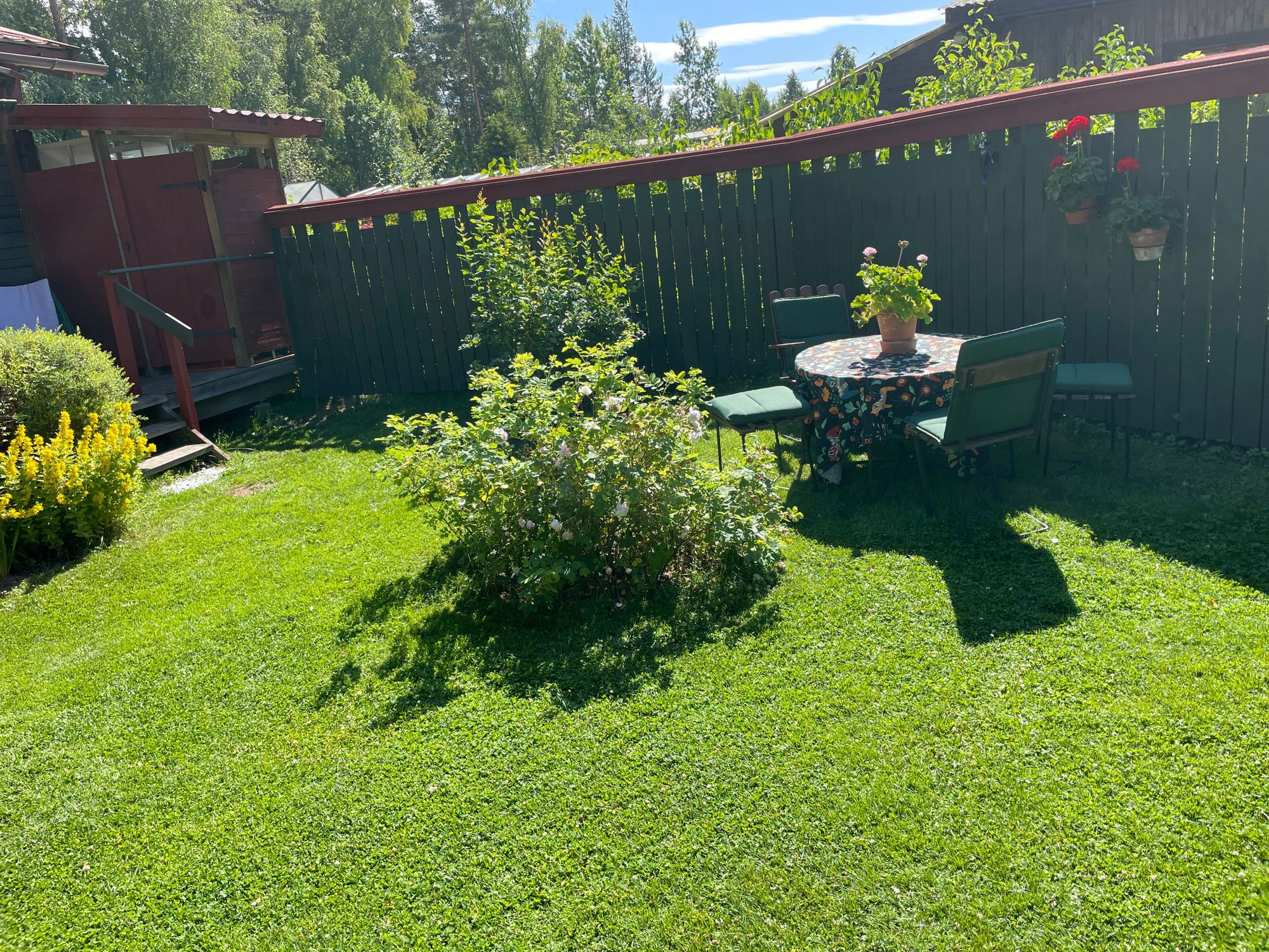 Timrad stuga på hyresvärdens tomt – bild 2 av 18