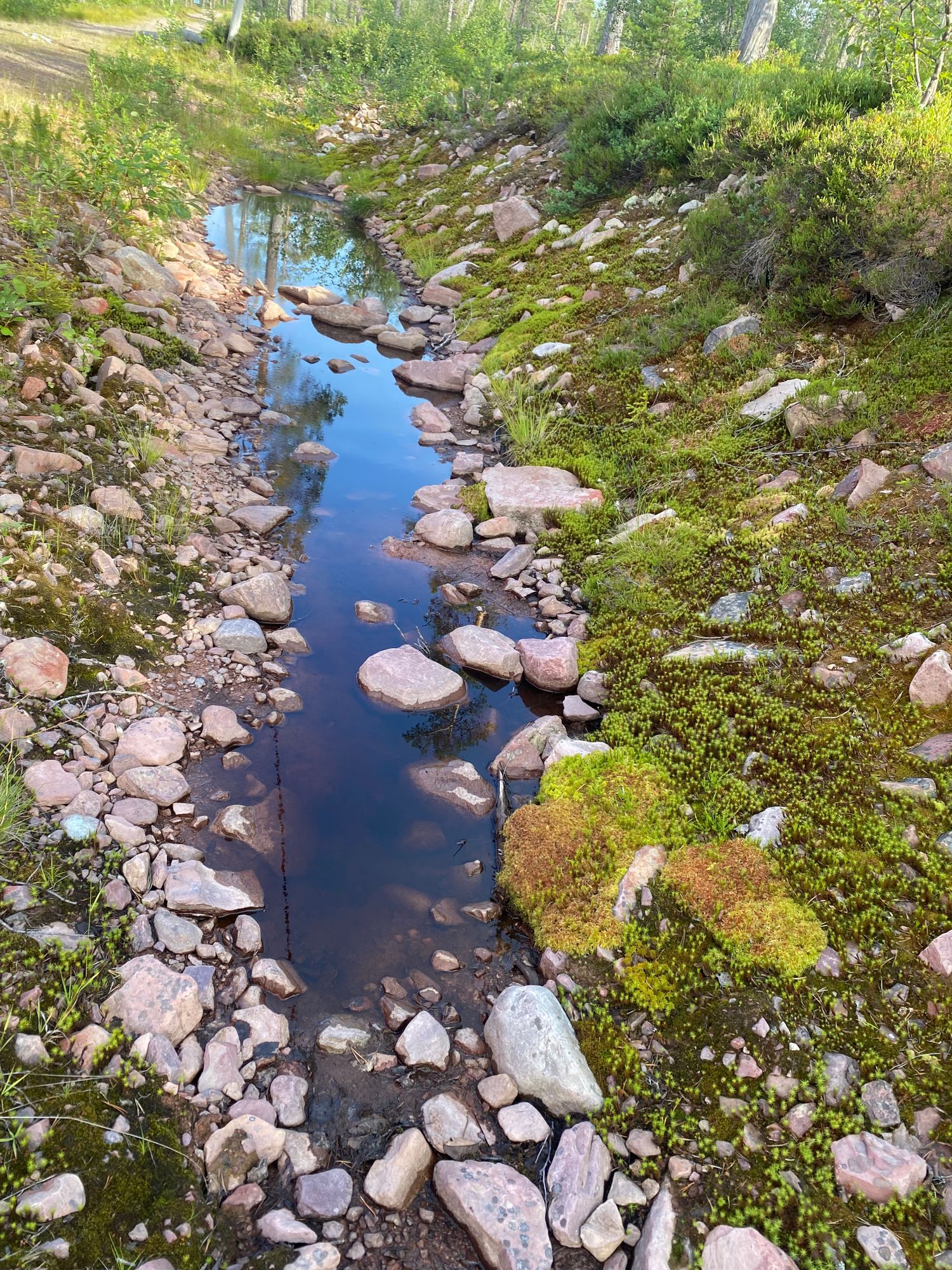 Näsfjället, Sälenfjällen – bild 13 av 20
