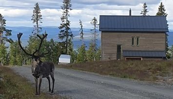 Utsikts- och solläge på Vemdalsskalet