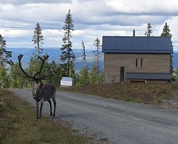 Stuga i vemdalsskalet med 11 bäddar #26648