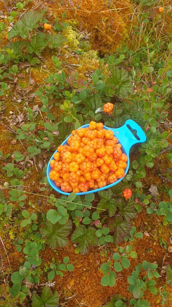 Stuga i vemdalsskalet med 11 bäddar #26648 – bild 3 av 24