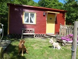 Liten stuga på en hästgård