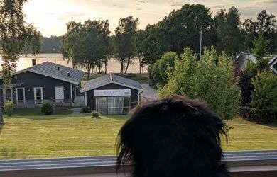 Sista minuten