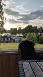 Sista minuten