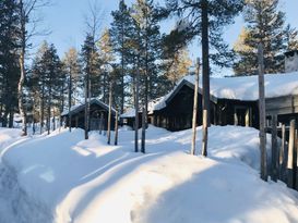 Mysig stuga med bastu och täljstenskamin