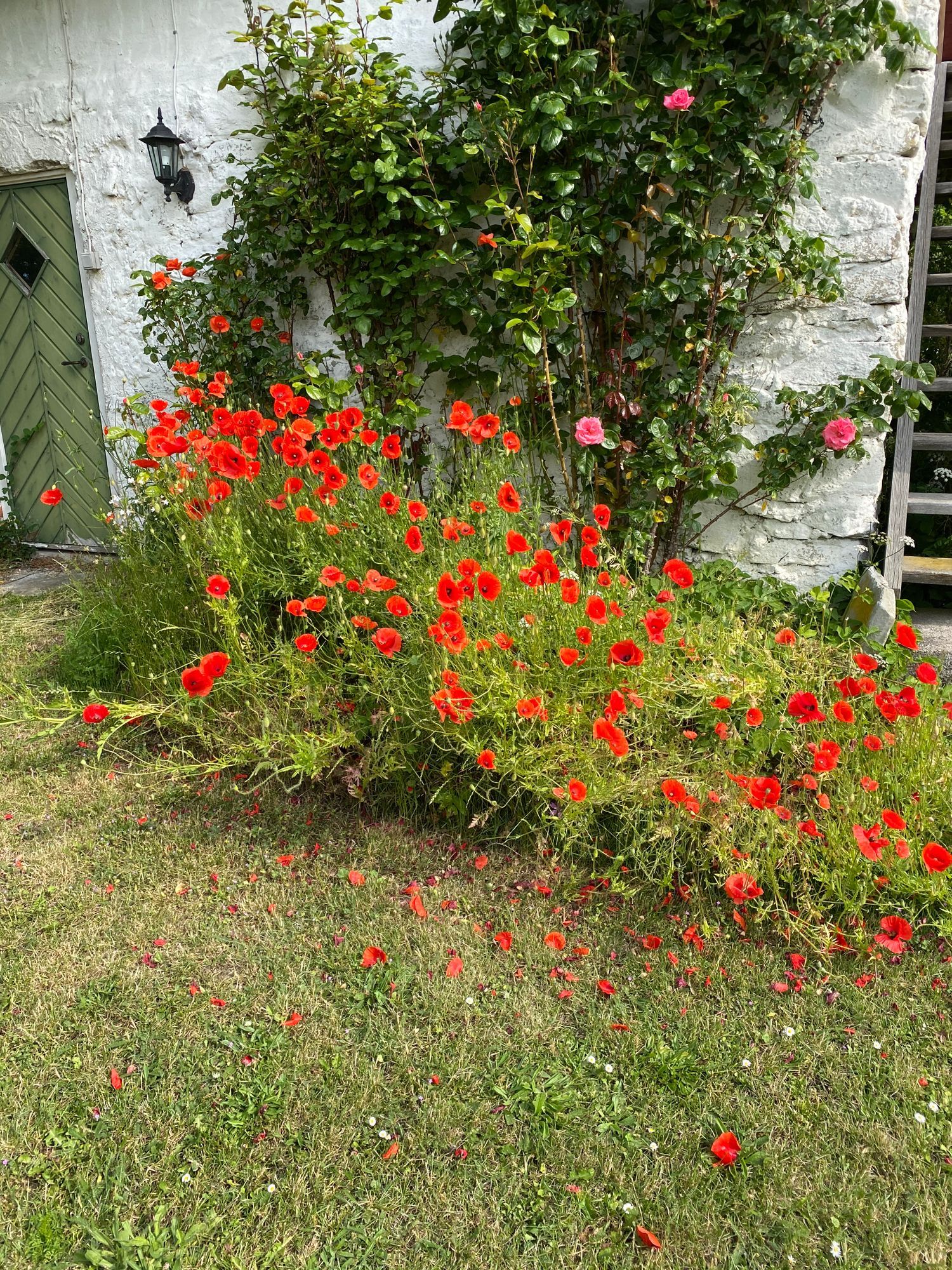 Kalkstenshus på Storsudret, Gotland – bild 5 av 11