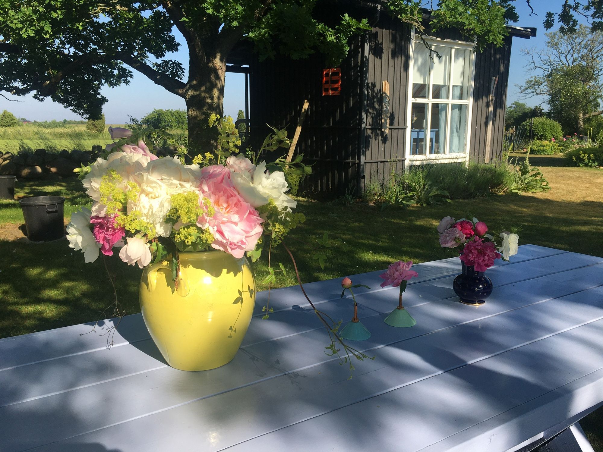 Paradis uthyres – bild 6 av 16