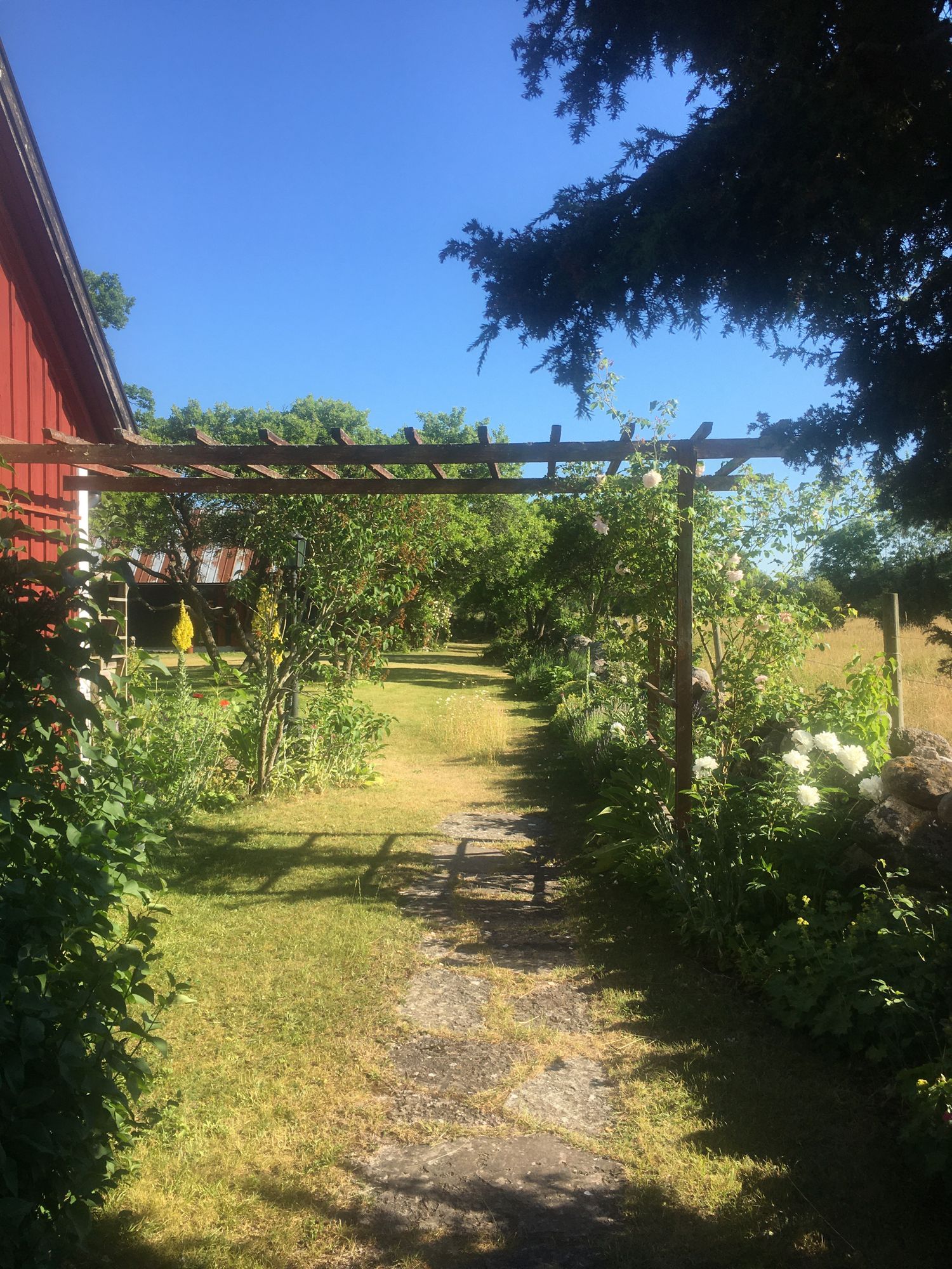 Paradis uthyres – bild 8 av 16
