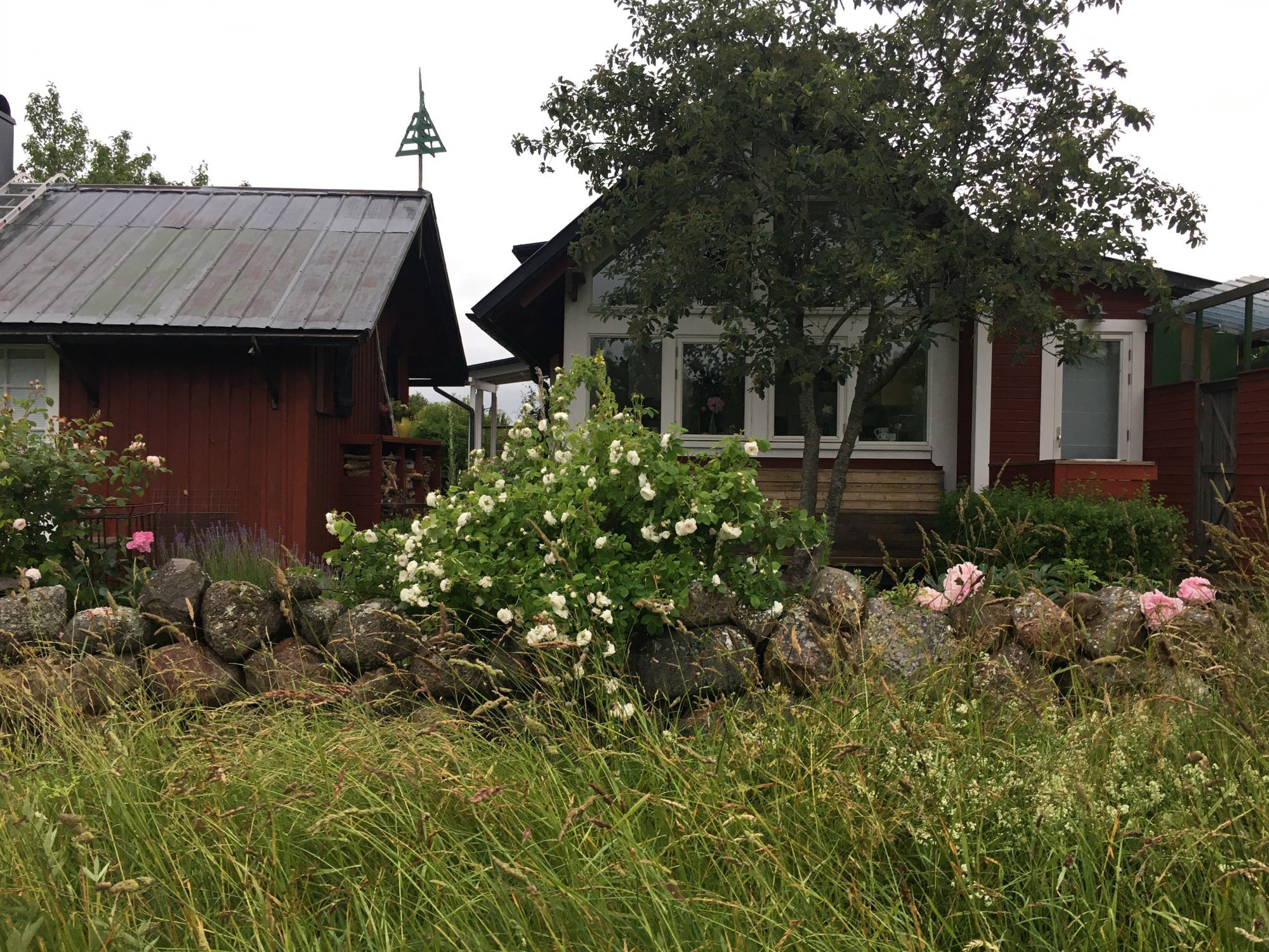 Paradis uthyres – bild 7 av 16