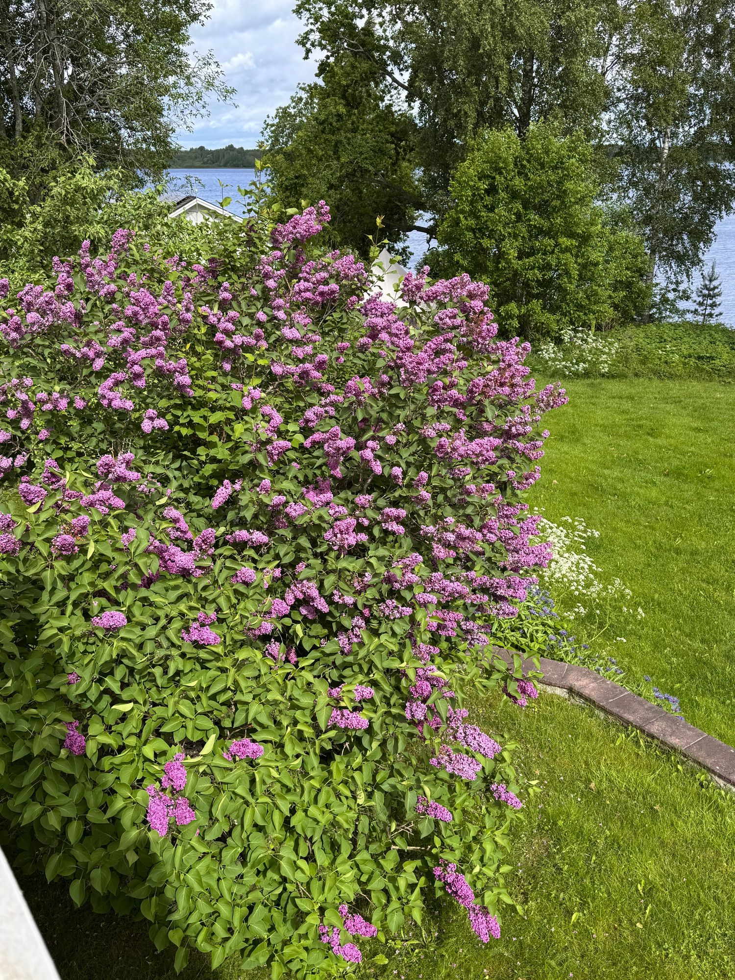 Eget gästhus på sjötomt – bild 12 av 14