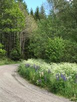 Dagstur Gekås, Isaberg o High Chaparall, hund ok