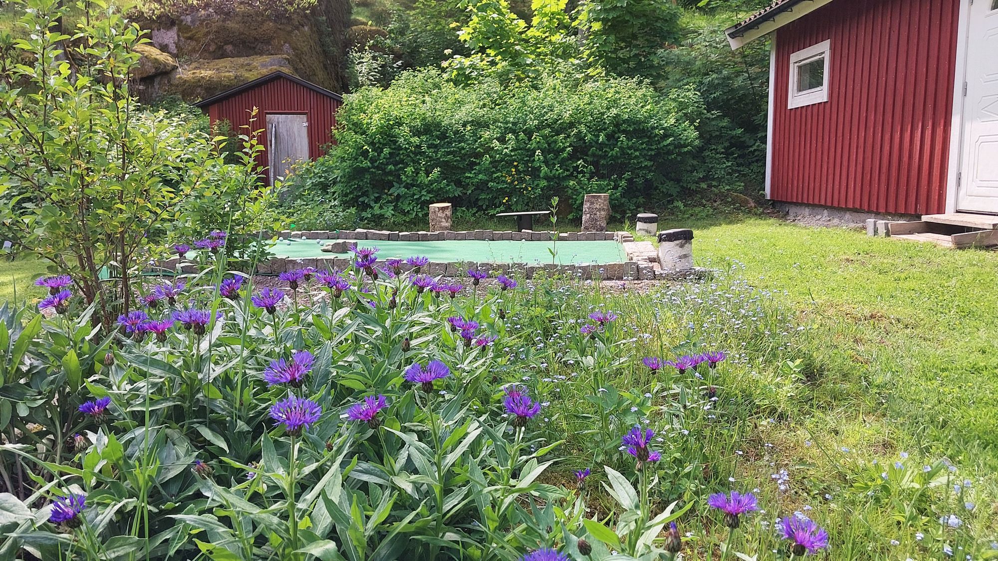 Charmiga Golftorpet i Mjölby | SE10021 – bild 19 av 24