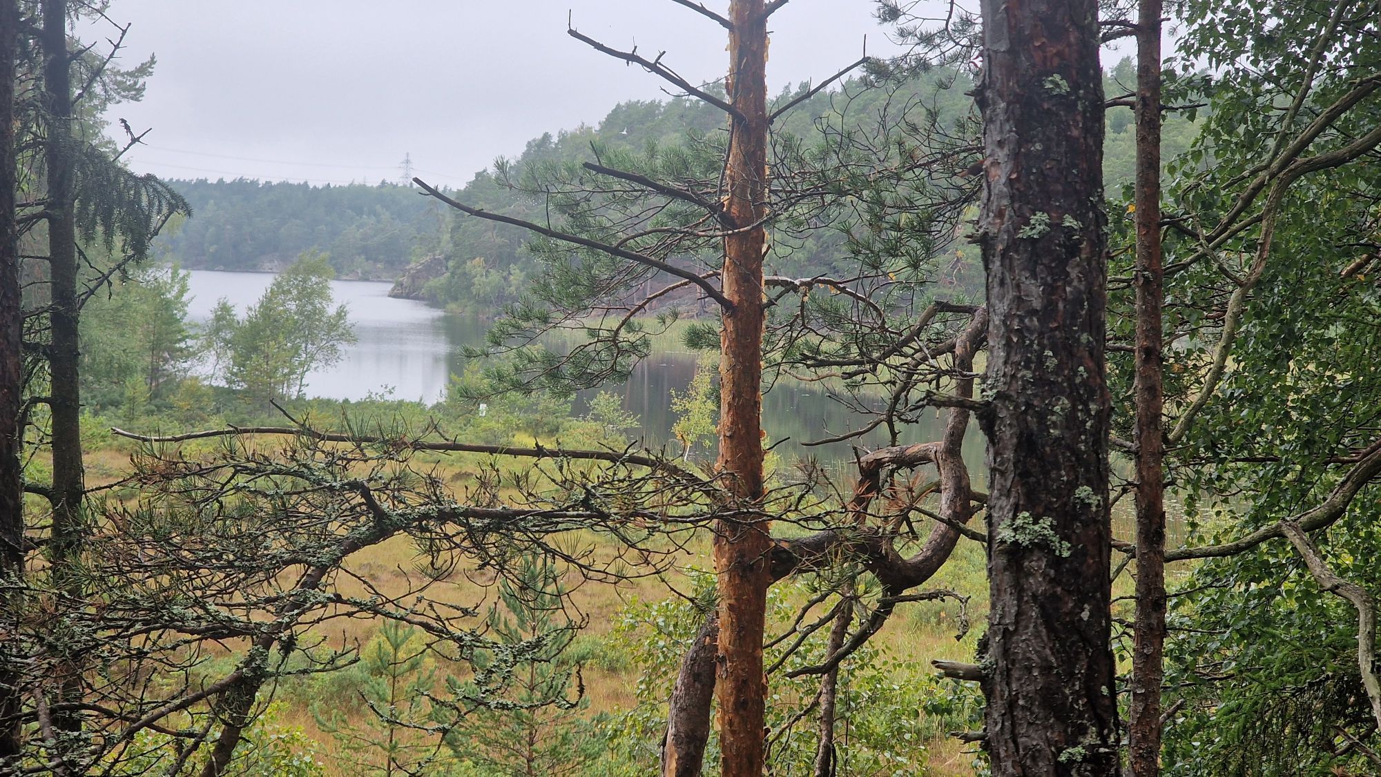 Kombinera Stockholm och njut av naturen – bild 14 av 17