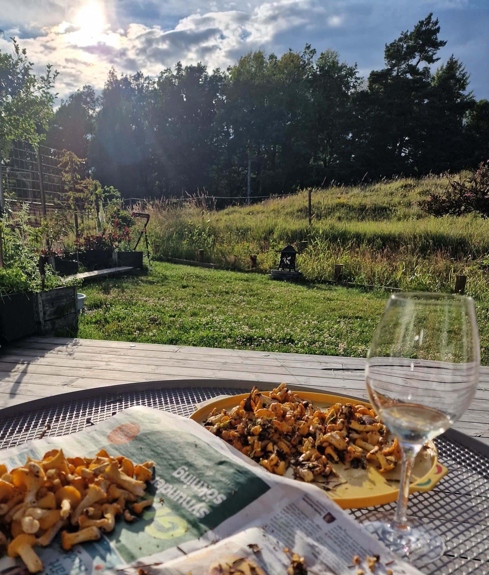 Kombinera Stockholm och njut av naturen – bild 8 av 17