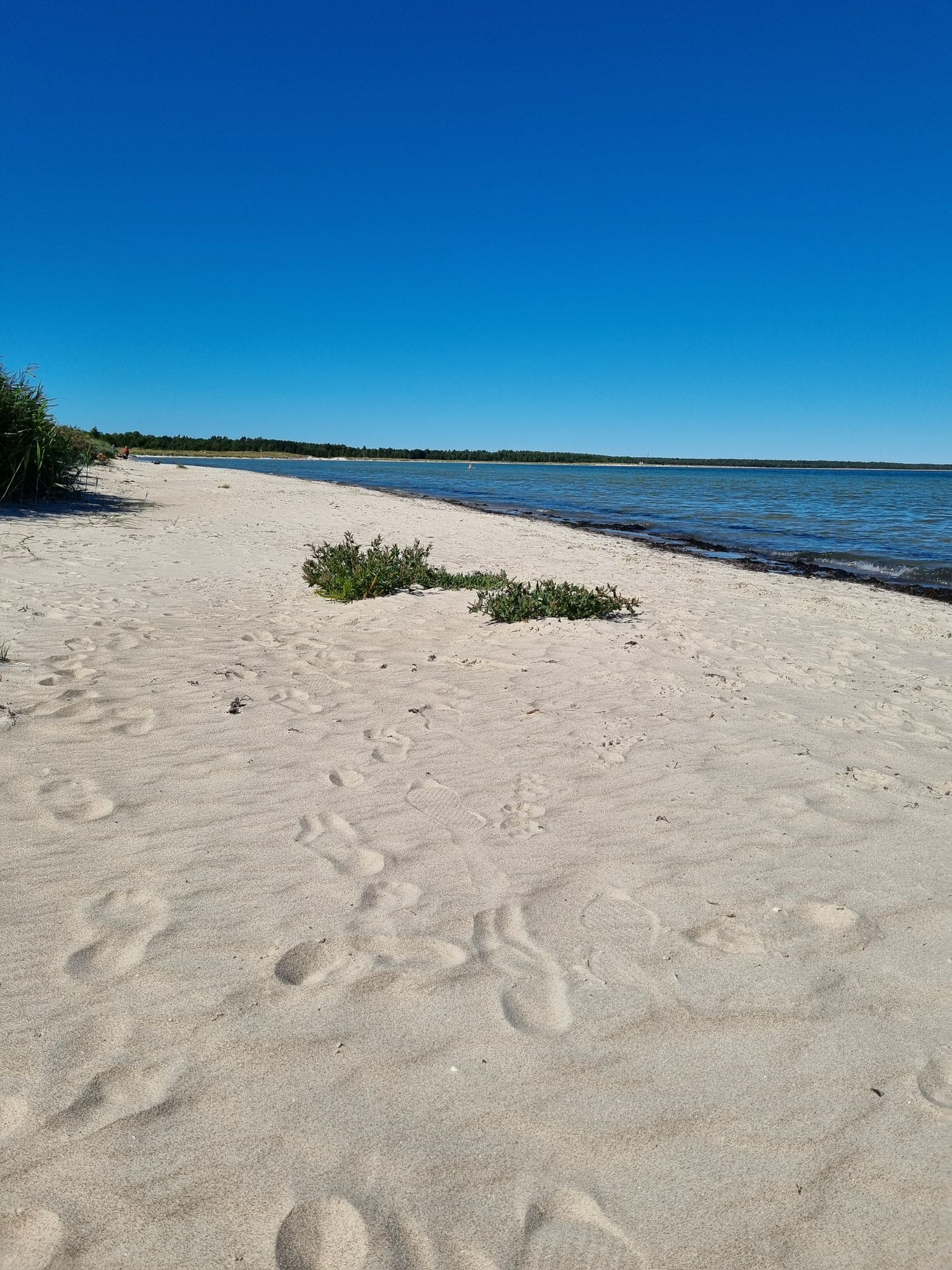 Trivsam marklägenhet uthyres i Böda, Norra Öland – bild 2 av 14