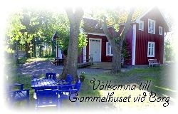 Gammelhuset vid Borg