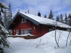 SÄLEN, a terrific cottage, only 100 m to ski lift