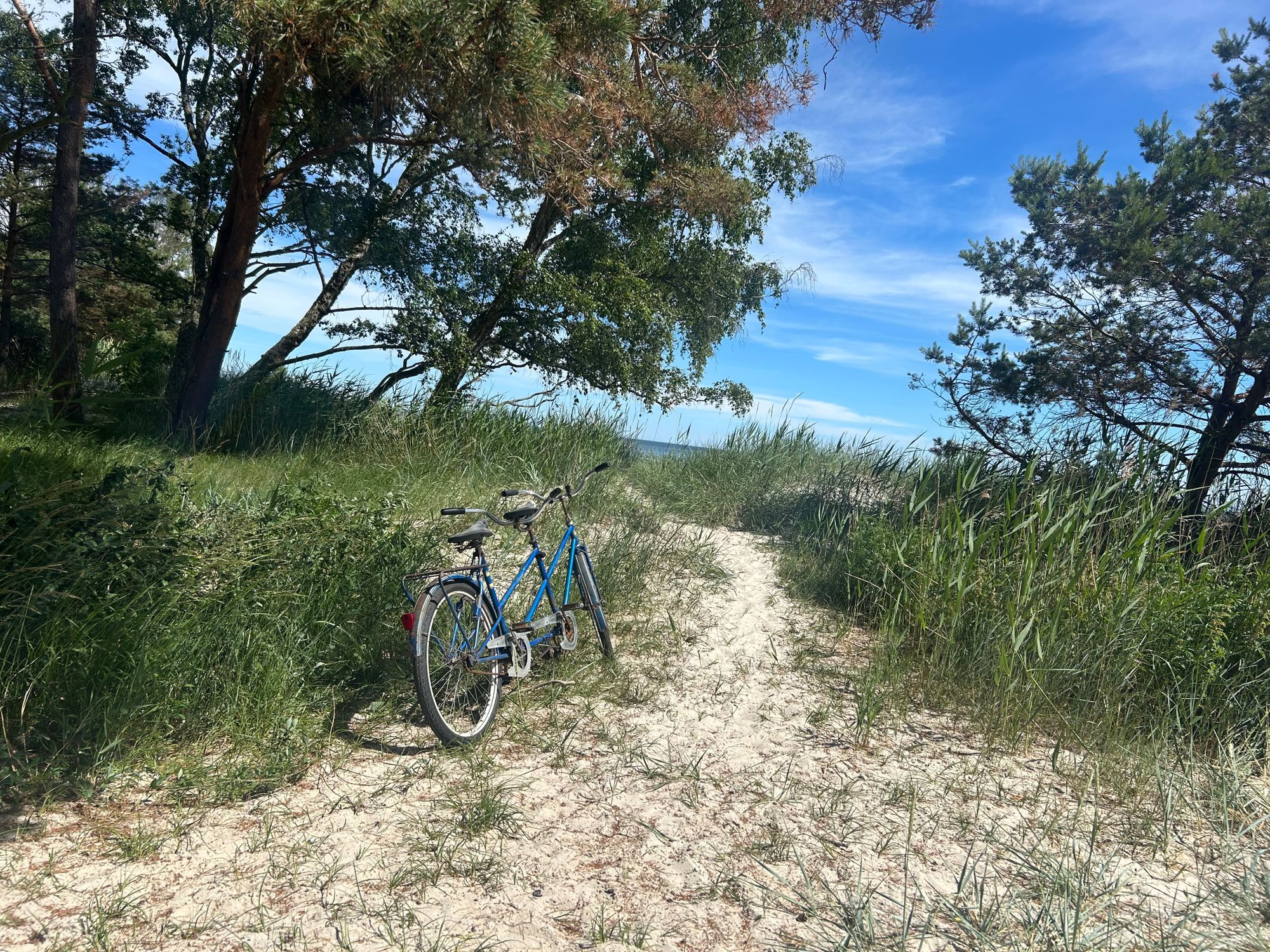 Mysigt, rymligt med närhet till strand & Åhus by – bild 19 av 20