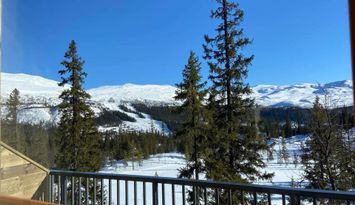 Nybyggt ski-in ski-out i Hovde, Bydalsfjällen