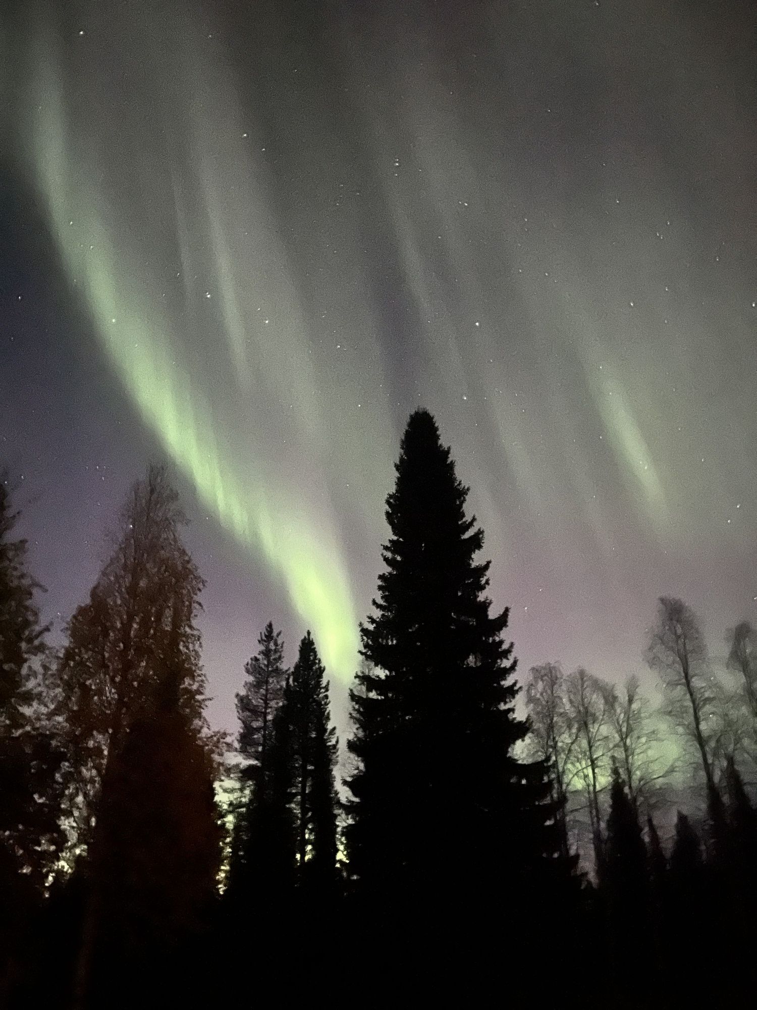 Njut av svenska Lappland med privat bastu – bild 12 av 24