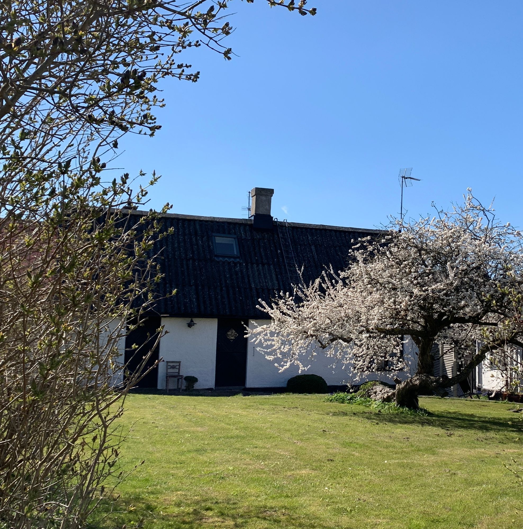 Kåseberga, Österlen - Skånehus.
