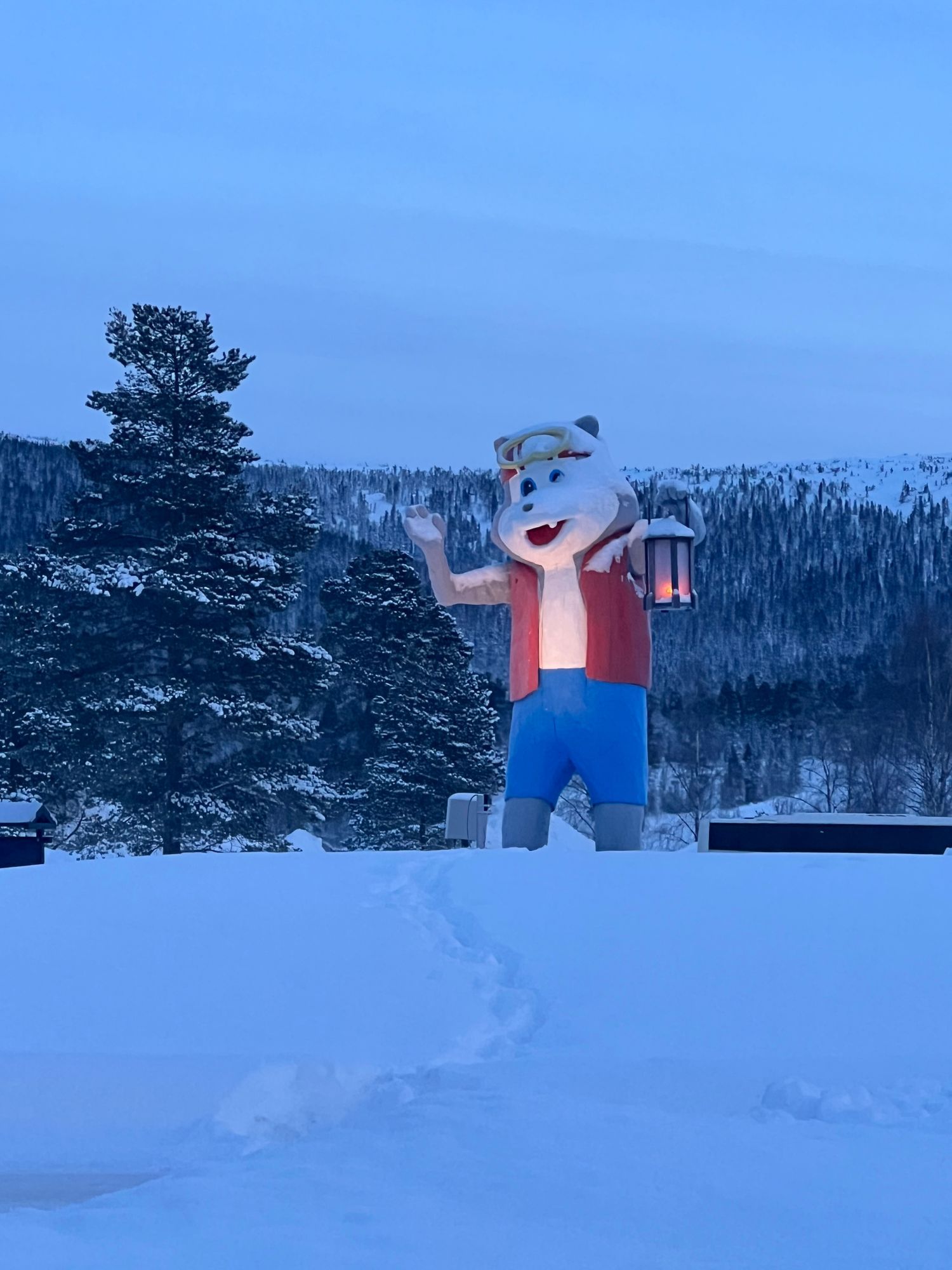 Stöten ski in ski out – bild 9 av 13