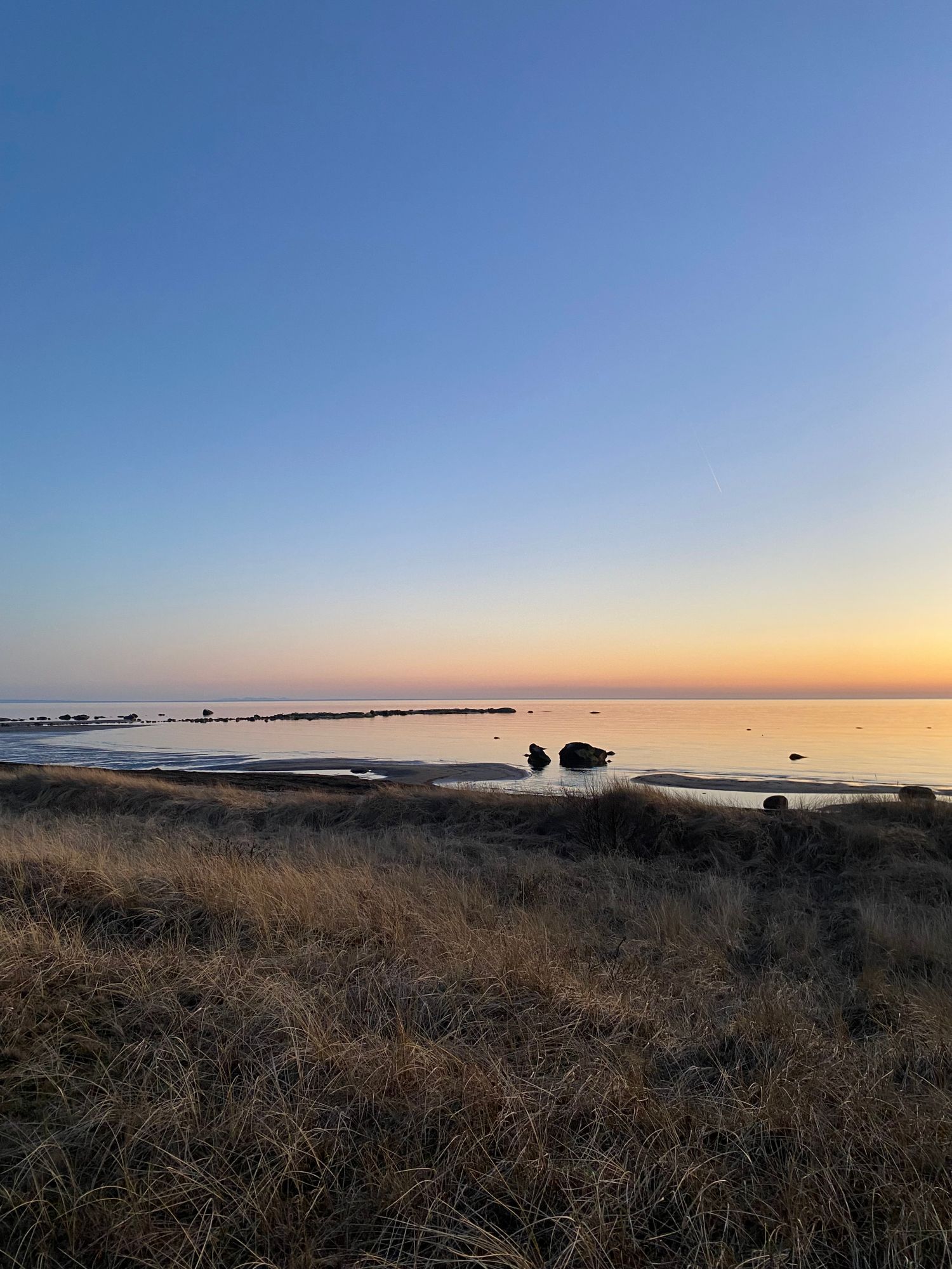 Haverdal - precis vid naturreservat och sandstrand – bild 8 av 16