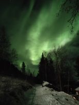 Full fart eller lugn och ro? Hyr charmiga Ugglebo!