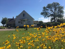 Gooseberry Lodge near Kullen and Öresund