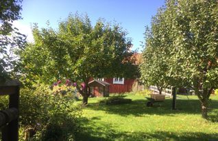 Gemütliche Hütte in Naturschönes Gebit