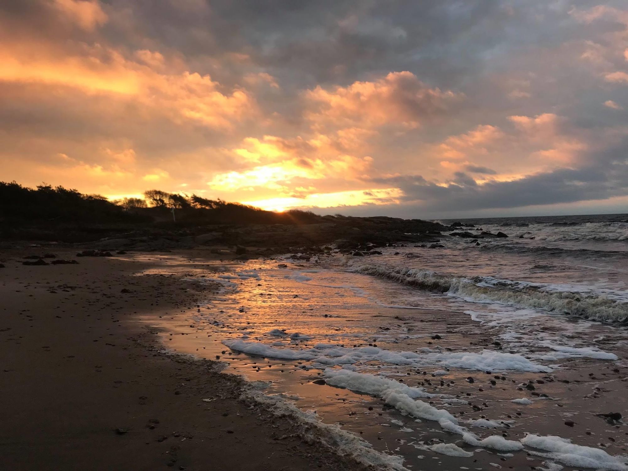 Härlig  studio vid havet nära Tylösand – bild 4 av 24