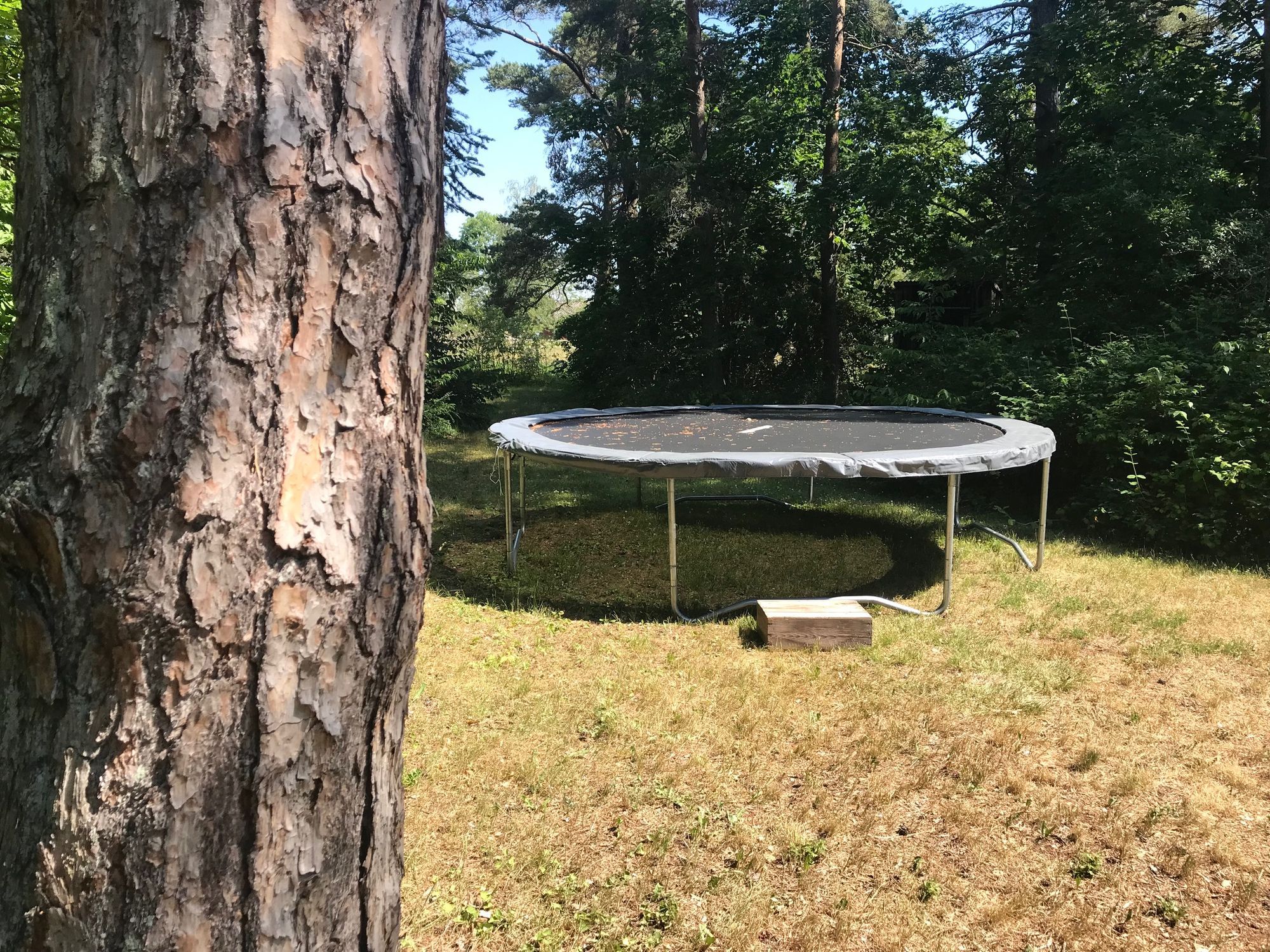 Välkomna till Eksta i sommar – bild 13 av 13