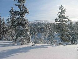 Grövelsjöfjällen – bild 5 av 7