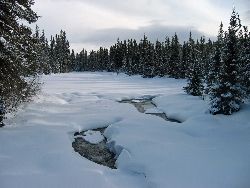 Grövelsjöfjällen – bild 7 av 7