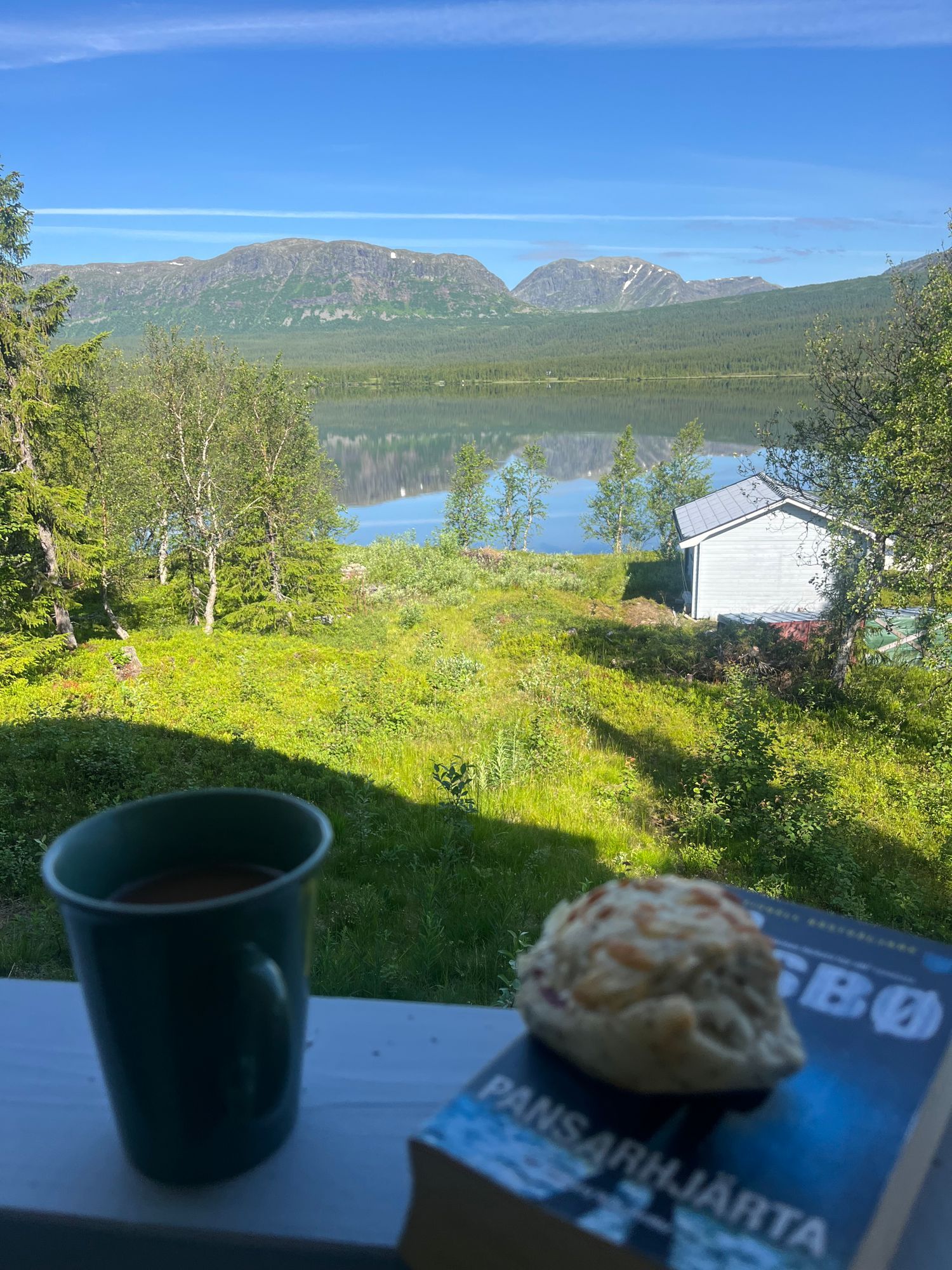 Stuga med fjäll- och sjöutsikt, bastu, och kamin – bild 21 av 24