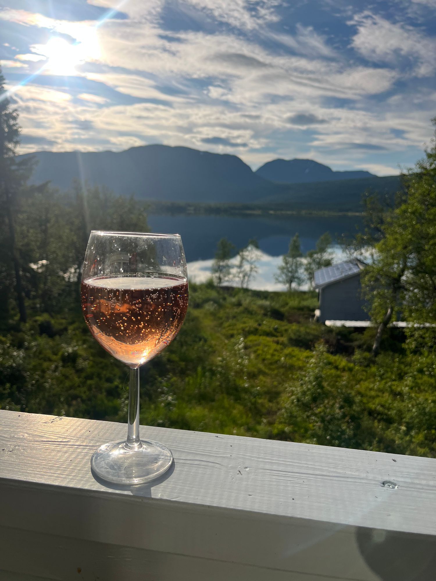 Stuga med fjäll- och sjöutsikt, bastu, och kamin – bild 19 av 24