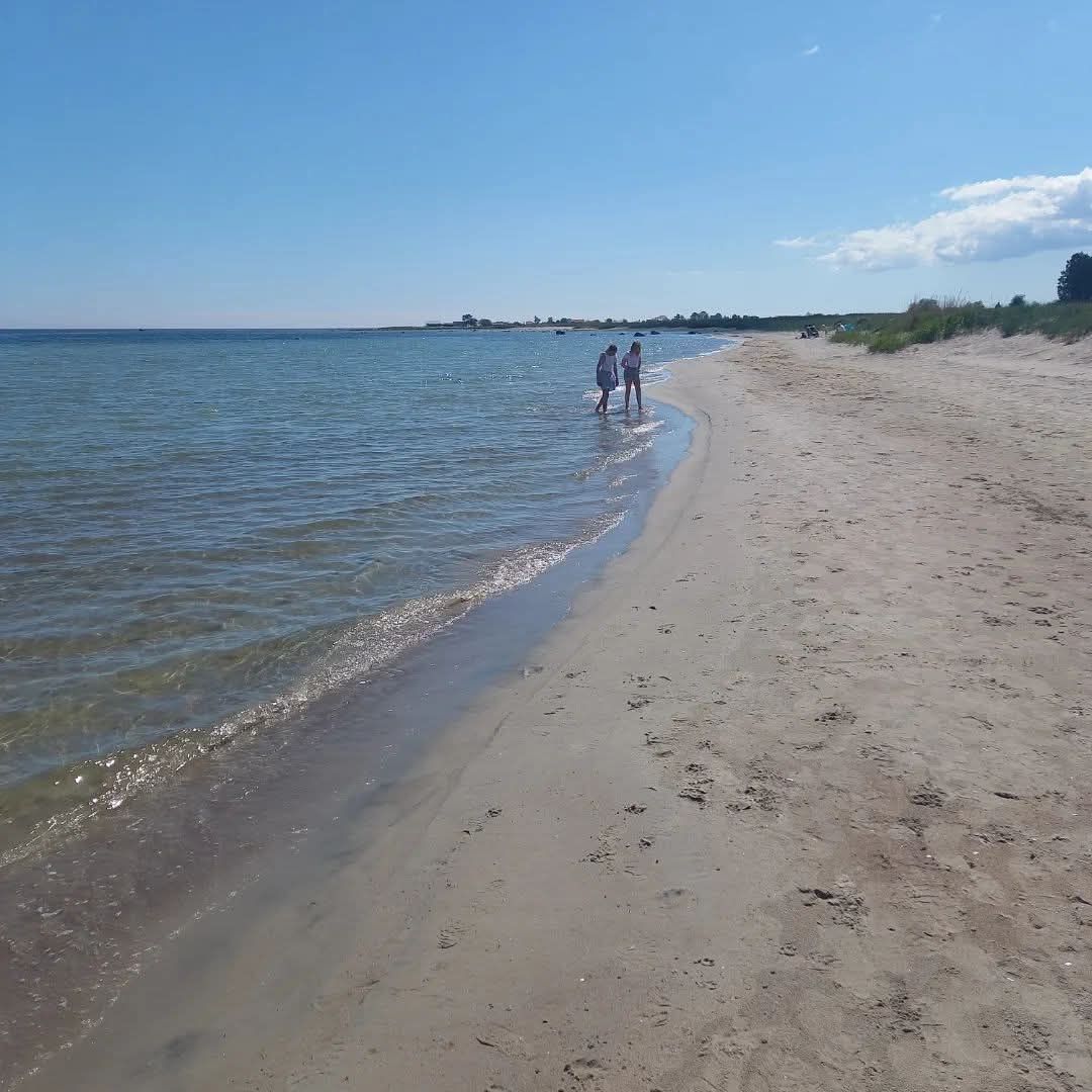 Ölandsvilla