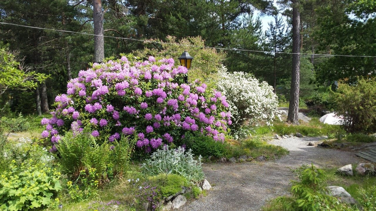 Charmig sommarstuga med härligt barnvänlig tomt – bild 7 av 21