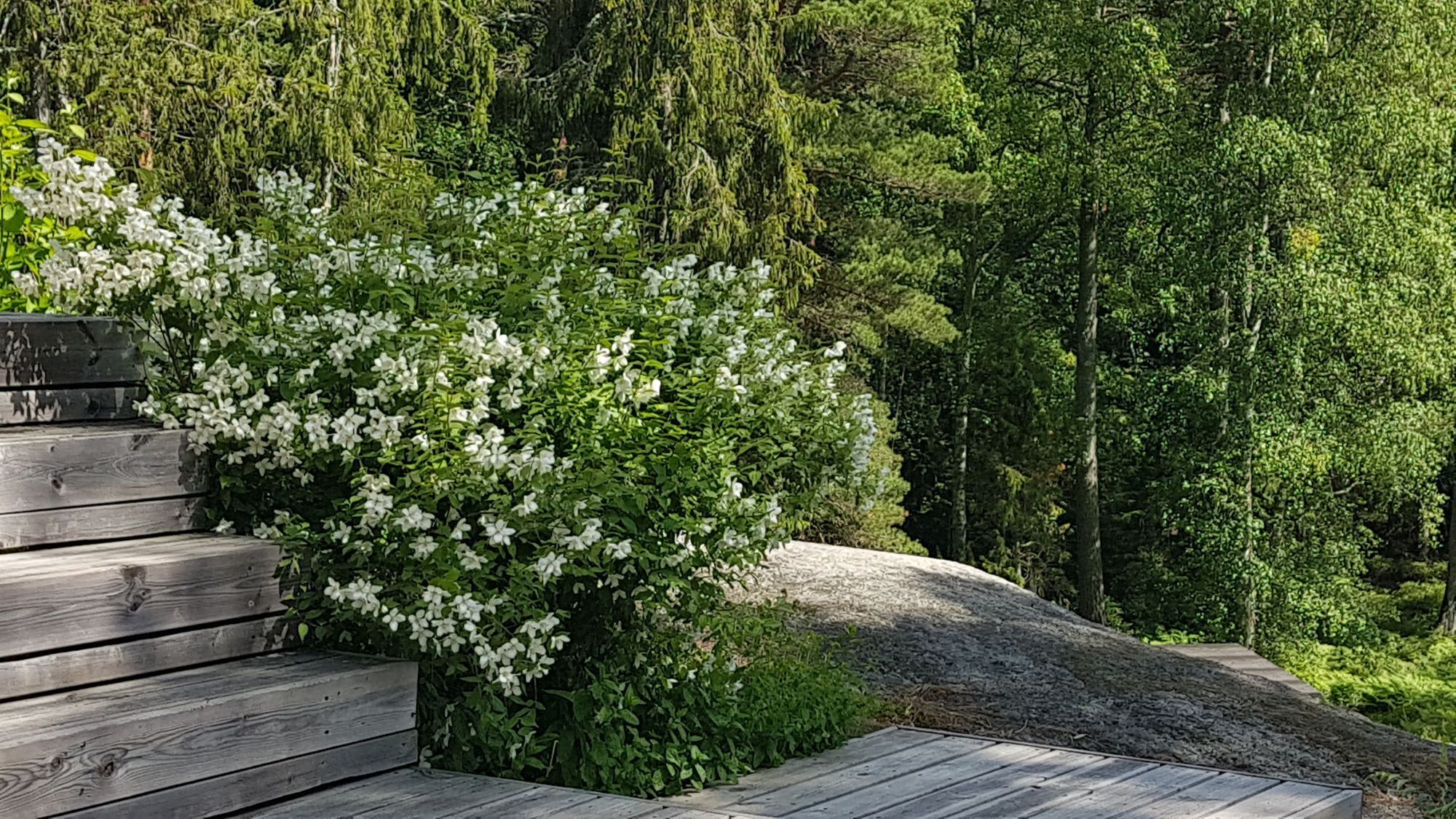 Sommarhus i skärgården – bild 20 av 24